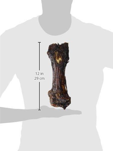 Nature's Logic Extra Meaty Shin Bone Dog Treats - All-Natural USDA Prime Midwest Beef for Every Size of Dogs - Long Lasting Dog Chews Promoting Dental Hygiene - Beef Extra Meaty Shin Bone Treat