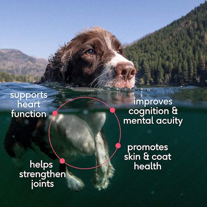 Native Pet Salmon Oil for Dogs & Cats – Pure Omega-3 Fish Oil for Dogs Supplement for Skin & Coat, Joint & Heart Health - Dog Anti-Inflammatory – 100% Wild-Caught Alaskan Sockeye Salmon – 8 oz