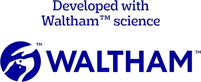 Pedigree Dentastix Large Breed Dog Treats, Original Flavor, 1.66 lb. Bag (32 Treats)