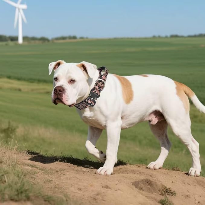 TSPRO Premium Dog Collars Tactical Dog Collar with Handle and Heavy Duty Quick-Release Metal Buckle Durable Thick and Adjustable for Medium to Large Dogs (Leopard Print L)