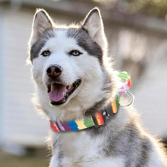 TSPRO Premium Dog Collars Tactical Dog Collar with Handle and Heavy Duty Quick-Release Metal Buckle Durable Thick and Adjustable for Medium to Large Dogs (Gradient Multi-Colored L)