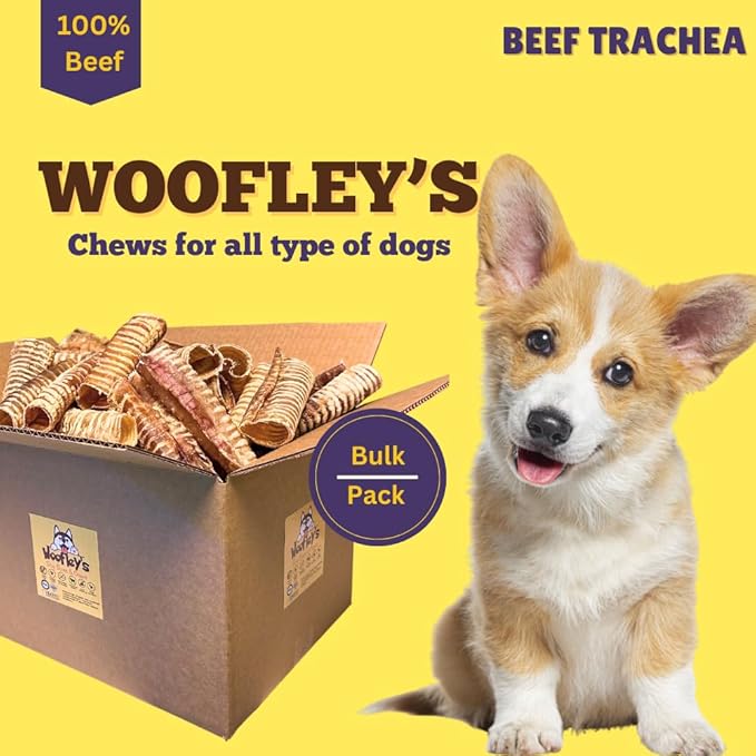 Woofley's Beef Trachea - (6 Inch 50 Pack) - Trachea Treats for Dogs - Natural Source of Glucosamine and Chondrotin for Joint Health - 100% Natural Beef Windpipe for Dogs