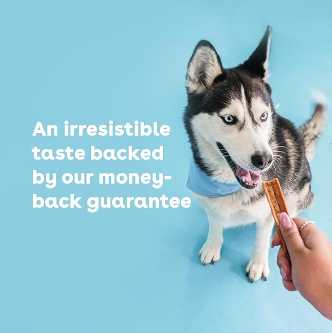 Pupford Chicken Jerky for Dogs & Puppies, All-Natural, Healthy Dog Treats, No Fillers, Made in USA (16 oz)