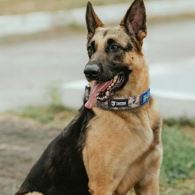 TSPRO Premium Dog Collars Tactical Dog Collar with Patch and Heavy Duty Quick-Release Metal Buckle Durable Thick and Adjustable for Medium to Large Dogs (Military Green L)