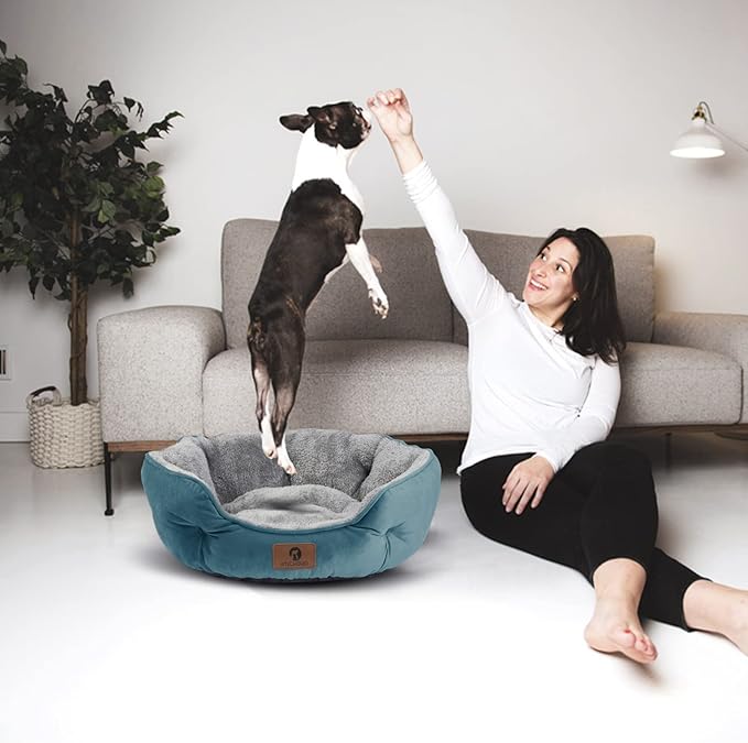 Asvin Small Dog Bed for Small Dogs, Cat Beds for Indoor Cats, Pet Bed for Puppy and Kitty, Extra Soft & Machine Washable with Anti-Slip & Water-Resistant Oxford Bottom, Teal, 20 inches