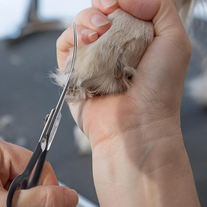 Dragon Creek 6" Upward Curved Dog Grooming Scissors Shears for Grooming Face and Paws Safety Shears Trimming Cutting Scissors for Dog Cat Pet Black