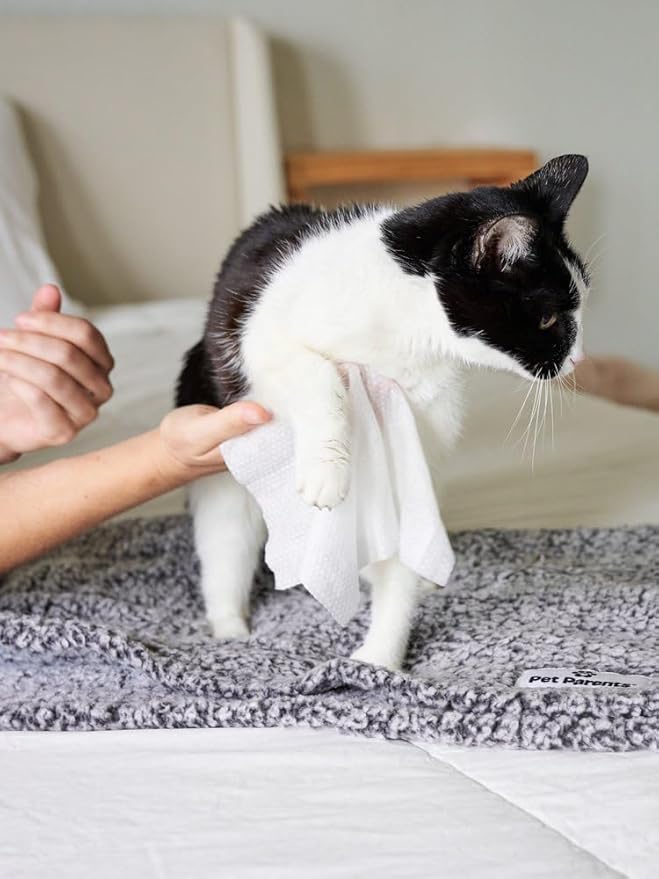 Cat All Purpose Pet WiPees™ – 100 Daily Cat Bath Wipes, All Natural Cat Wipes for Ears, Fur & Folds, Gentle Pet Wipes for Cats, pH-Balanced to Cats Specific Skin & Biome (Natural, 100ct)