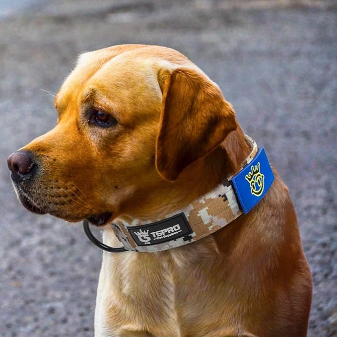 TSPRO Premium Dog Collars Tactical Dog Collar with Patch and Heavy Duty Quick-Release Metal Buckle Durable Thick and Adjustable for Medium to Large Dogs (Camo Khaki L)