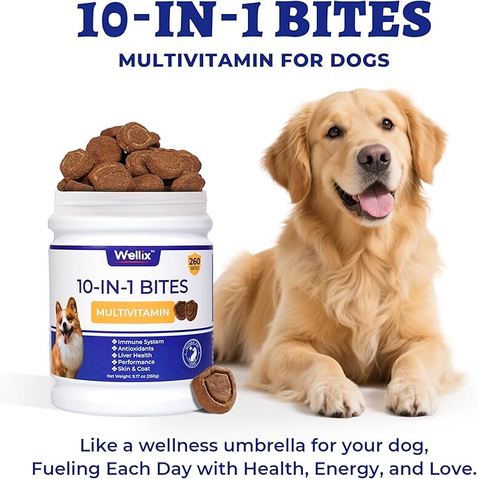 260 Bites Wellix 10-in-1 Dog Vitamins - Multivitamin for Dogs Immune Supports,Boost Hip&Joint,Skin&Coat,Liver&Gut Health -Dog Antioxidant Supplements