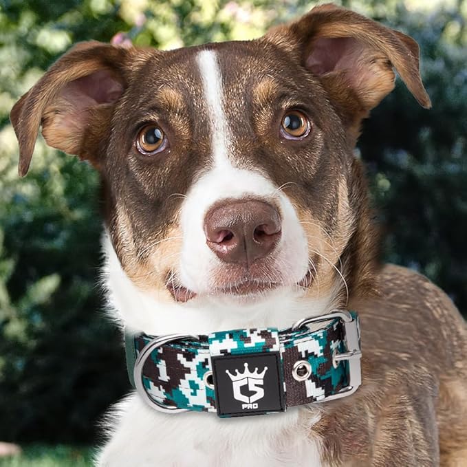 TSPRO Tactical Dog Collar 1.5 Inch Wide Thick Dog Collars with Heavy Duty Metal Buckle, Durable, Strong, Adjustable for Medium to Large Dogs (Camo Cyan M)