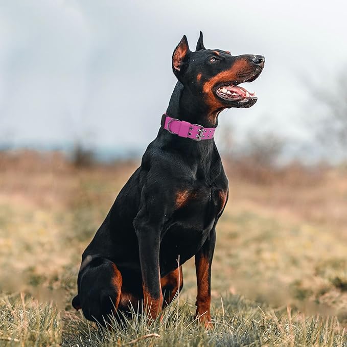 Tactical Dog Collar with Handle, Military Adjustable Heavy Duty Metal Buckle Dog Collars Soft Nylon Training Collar for Medium Large Dogs (Pink, X-Large)