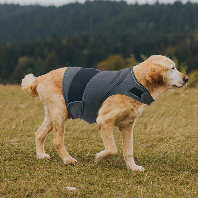 Dog Anxiety Shirt, Jacket Stress Relief Coat, Adjustable Vest for Fireworks, Thunderstorm, Calming Vest Wrap Clothing for Dogs (M)