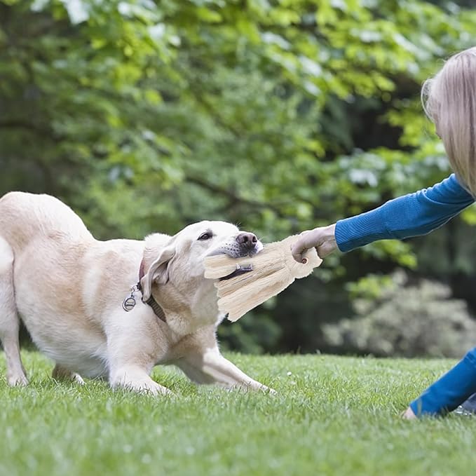 DODODOLA Dog Toys Squeaky Dog Toys with Crinkle Paper Cute Stuffed Octopus Durable Dog Plush Toys for Large Breed Dog Chew Toys for Small, Medium, Large Dogs