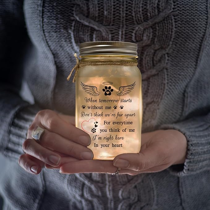 2IMT Dog Memorial Gifts, Pet Loss Sympathy Gift, Dog Sympathy Gifts for Loss of Dogs, Pet Memorial Gift for Dogs, Remembrance Bereavement Grieving Memorial Condolence for Cat, Jar Light Loss of Pets