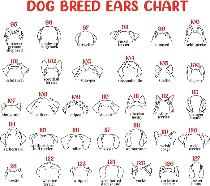 Nazenti Personalized Dog Memorial Picture Frame, Dog Loss Sign, Pet Memorial Signage, Loss Of Pet Sympathy Gift, Custom Collar Holder Frame, Customized Dogs Gifts, Dogs Bereavement Gifts