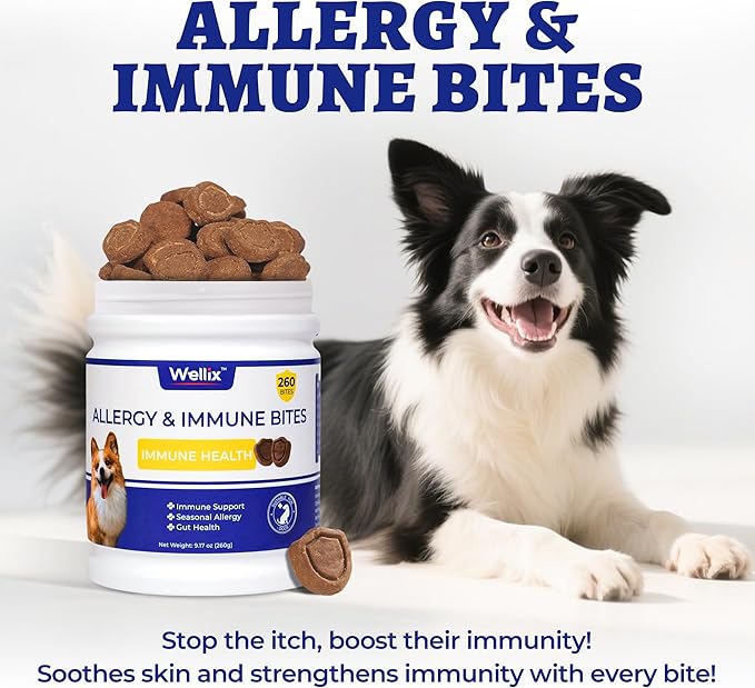 260 Bites Wellix Dog Allergy Chews & Immune Support, Anti Itch Dog Chews – Effective Ingredients Turmeric for Dogs & Fish Oil – for Puppy, Small Medium & Large Dogs