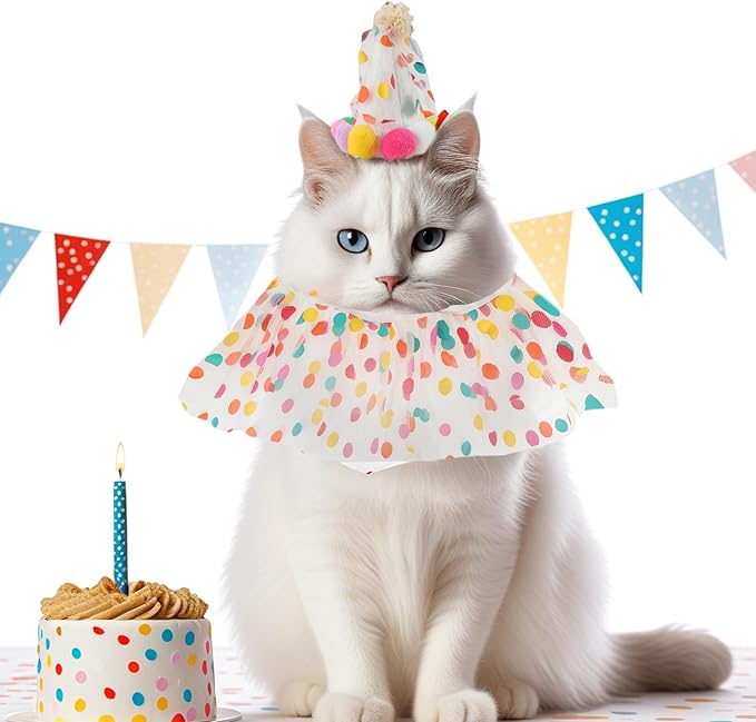 Cat Costume, Cat Birthday Bandana Scarf and Party Hat, Dog Birthday Decorations Set, Pet Outfit for Birthday Party Christmas, Medium