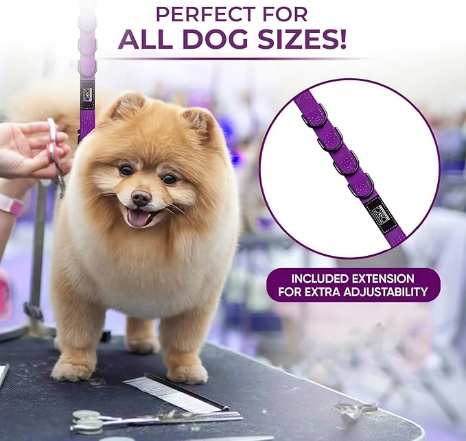 37" Dog Grooming Table with Set of 6 Grooming Loops for Dog Groomers Bundle - Adjustable Height Grooming Table 300lb, Dog Grooming Table Arm with Adjustable Dog Grooming Loops - Dog Grooming Supplies