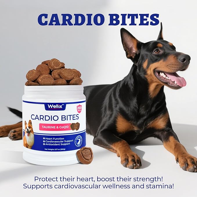 260 Bites Wellix Cardio Bites - Dog Heart Supplements - CoQ10,Taurine,Fish Oil,L-Carnitine for Dogs - Dog Health, Pet Antioxidant Supplements - for Puppy & Large Dogs