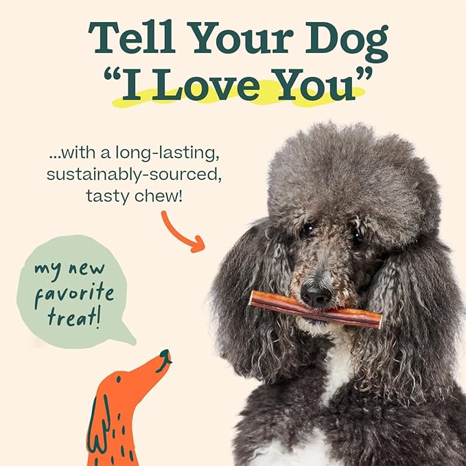 WOOF Bully Sticks Dog Treats - Chew Sticks for Dogs - Long-Lasting Dog Chew Treats - Made with Free-Range, Grass-Fed Beef- 12" Sticks - 25pk