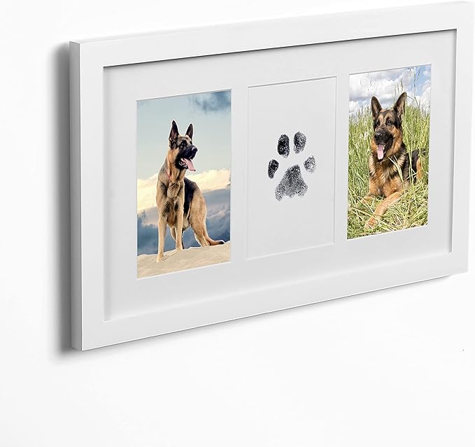 Green Pollywog Paw Print & Nose Print Kit with No-Mess Ink Pad | White | Pet Memorial Picture Display | Dog & Cat Keepsake Gift