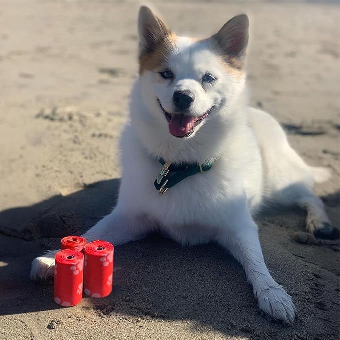 Best Pet Supplies Dog Poop Bags (240 Bags) for Waste Refuse Cleanup, Doggy Roll Replacements for Outdoor Puppy Walking and Travel, Leak Proof and Tear Resistant, Thick Plastic - Red