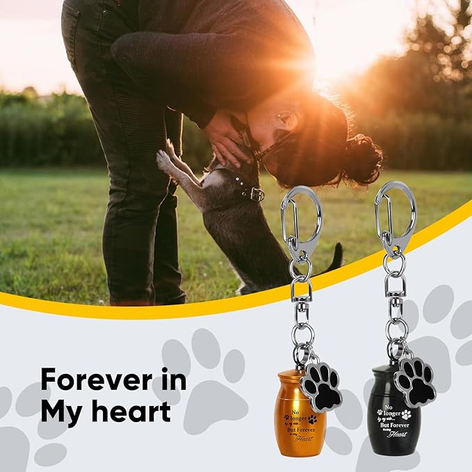 4 Pcs Pet Urns Keychain, Pet Ashes Keepsake Stainless Steel Urns Keychain for Dogs Cats with 4 Storage Bags