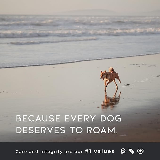 MADE TO ROAM On Dooty Set - Premium Dog Poop Bag Holder for Leash, Vegan Leather (Includes 1 Box Dog Waste Bags Rolls, 90 Bags Total) - California Horizon