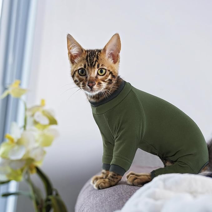 PUMYPOREITY Sticky Hair Cat Clothes, Prevent Hair Loss Cat Pajamas, Soft Cat Sweaters for Cats Only, Cat Hair Sticky Onesie, Cat Recovery Suit After Surgery, Green, XL
