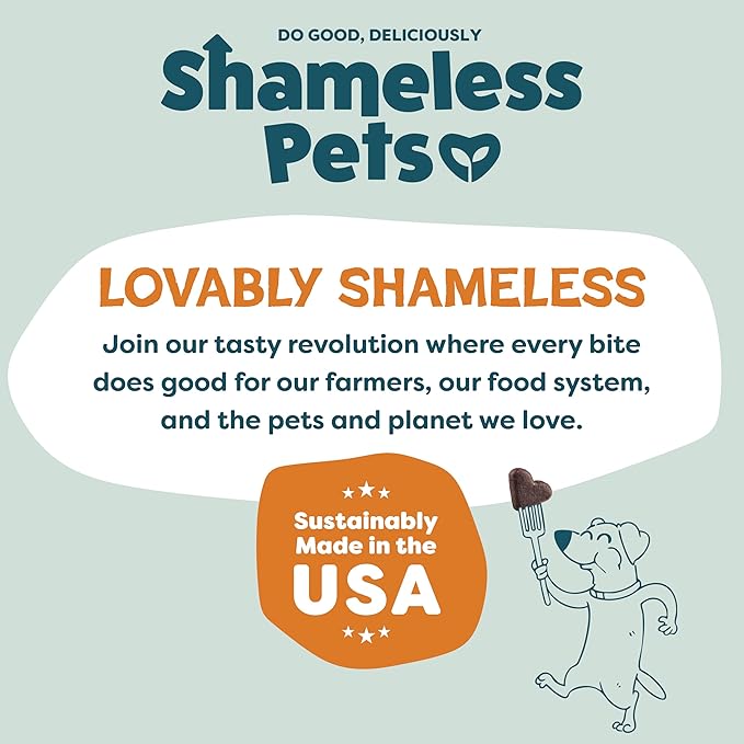 Shameless Pets Soft-Baked Dog Treats, Pumpkin Nut Partay - Natural & Healthy Chews for Digestive Support with Fiber - Doggy Biscuits Baked & Made in USA, Free from Grain, Corn & Soy - 1 Pound 1Pack