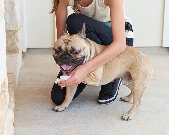 Dog All Purpose + Allergy Pet WiPees™ – 100 Allergy Wipes for Dogs, All Natural Dog Wipes for Paws, Folds & Hot Spots, Daily Pet Wipes for Allergy Relief & Skin Health (Calming, 100ct)