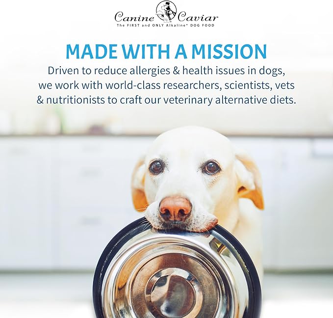 Canine Caviar - Special Needs: Chicken & Brown Rice Alkaline Dry Dog Food, Limited Ingredients, Gluten-Free, Based on Science & Research, Veterinary Alternative Diet (22 Pound Bag)