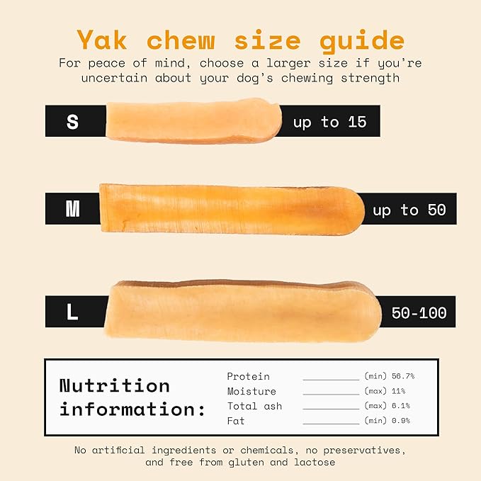Himalayan Yak Cheese Dog Chews - Natural Healthy & Safe Treat for Large Dogs - Long Lasting Dental Chew Rich in Protein & Calcium - Gluten-Free Lactose-Free - 4 Chews for Large Dogs