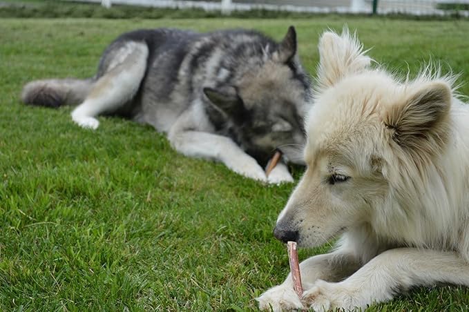 EcoKind Pet Treats All-Natural Premium 12 Inch Bully Sticks for Dogs | 16 Oz. Bag | Delicious Protein Rich Dog Chews