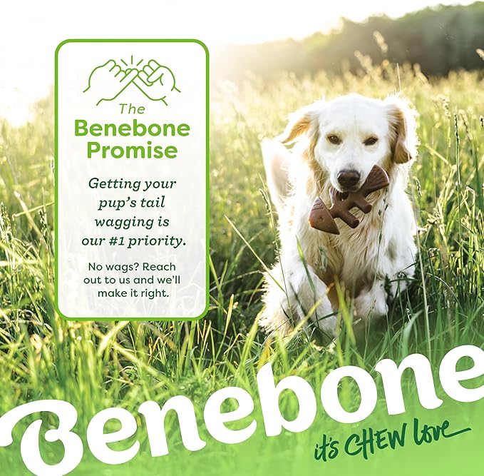 Benebone 2-pack Fishbone/Wishbone Durable Dog Chew Toys, Real Fish, Real Bacon, Made in USA, Large