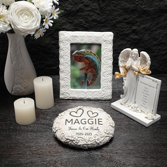 16 Personalized Chameleon Memorial Stone Designs – Outdoor Weatherproof Pet Memorial Stones for Headstones, Tombstones, Gravestones, and Grave Markers – Memorial Gifts for Chameleon