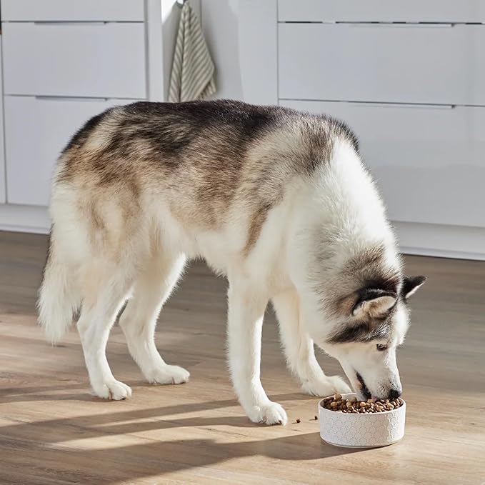 Open Farm, RawMix Grain-Free Dry Dog Food, Protein-Packed Kibble Coated in Bone Broth with Freeze Dried Raw Chunks, Salmon Whitefish & Rockfish, Wild Ocean Recipe, 20lb Bag