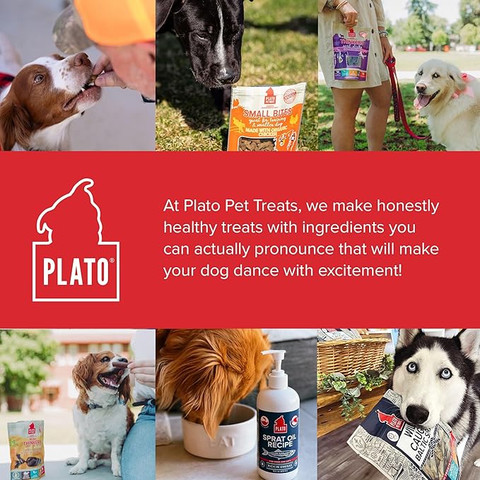 PLATO Mini Thinkers Sticks - Natural Dog Treats - Real Meat - Air Dried - Made in the USA, Chicken Flavor, 6 ounces