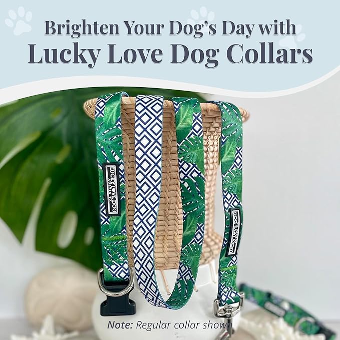 Lucky Love Dog Collar, Beautiful & Vivid Pattern Medium Boy Dog Collars, Easy On & Off Clasp Accessory (Blue Laguna, M)