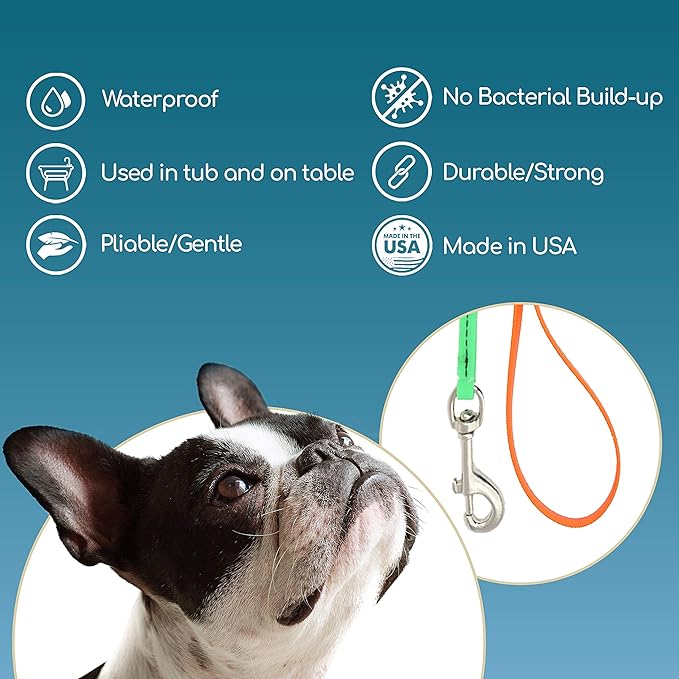 Jelly Pet Grooming Lead for Dogs | Great for Kennels, Veterinarians and Dog Grooming Salons | Biothane Leash - Easy to Clean, Waterproof & Durable Noose Loop | Made in The USA | 5/8" x 6' Royal Blue