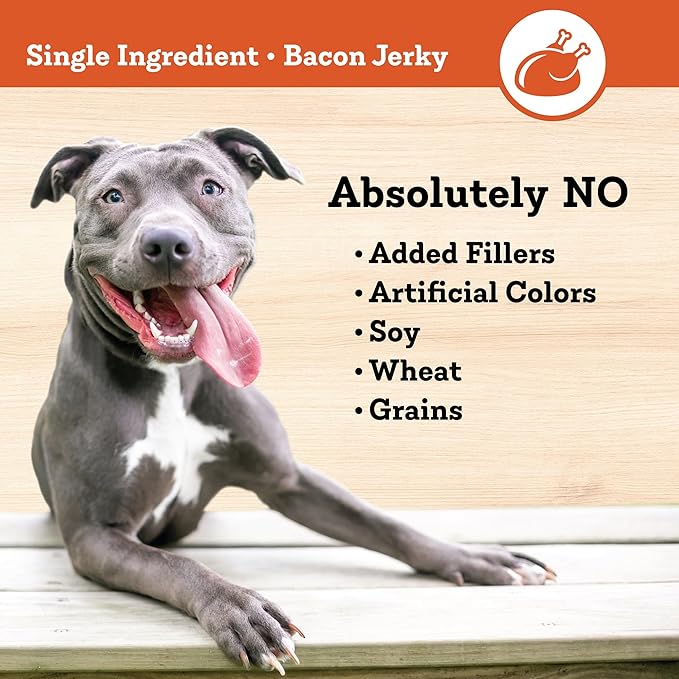 Bacon Jerky Strips Dog Treats, 16 oz – All-Natural, Made in USA, No Fillers or Preservatives – Great Source of Protein