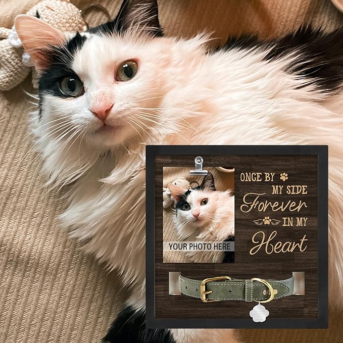 Dog Memorial Gifts for Loss of Pet, Pet Loss Sympathy Gifts, in Memory of Dog Passing Away, Forever in My Heart