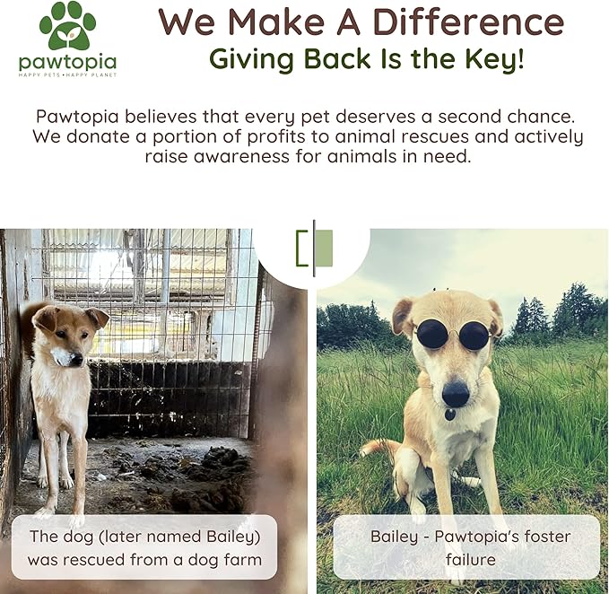 Biodegradable Dog Poop Bags, 60 Count, Certified Home Compostable, Leak-Proof, Easy Open