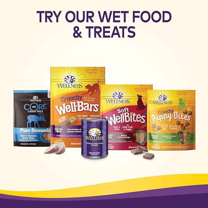 Wellness Complete Health Puppy Dry Dog Food, Grain Free, Natural, Chicken & Salmon Recipe, (24-Pound Bag)