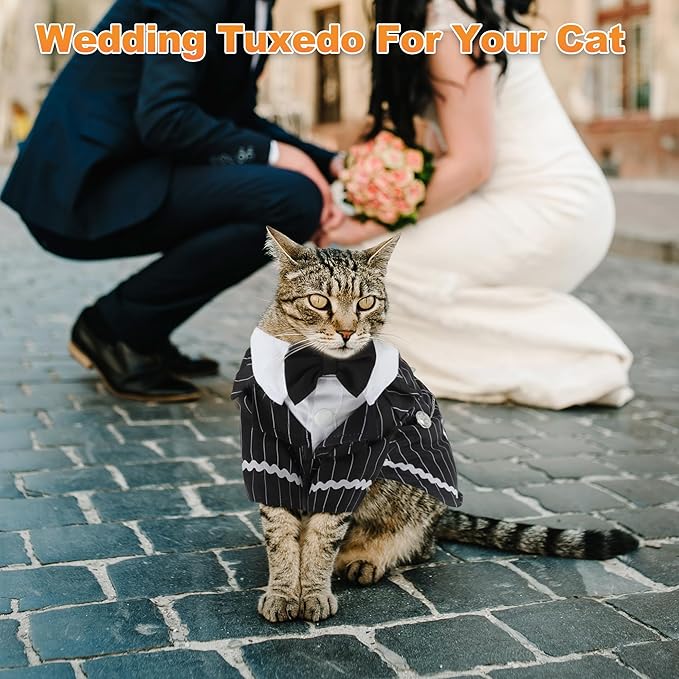 Cat Apparel, Stylish Tuxedo Outfit for Kitty with Tie, Black Stripes Pet Outfits for Wedding, Birthday, Party, Small