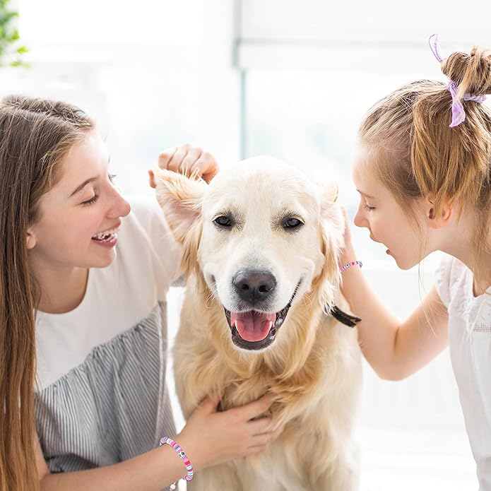 TONY & SANDY Dog Memorial Gifts, Pet Sympathy Rainbow Bridge Pet Memorial Bracelet for Men Women Girls Who Loss of Beloved Dog Cat