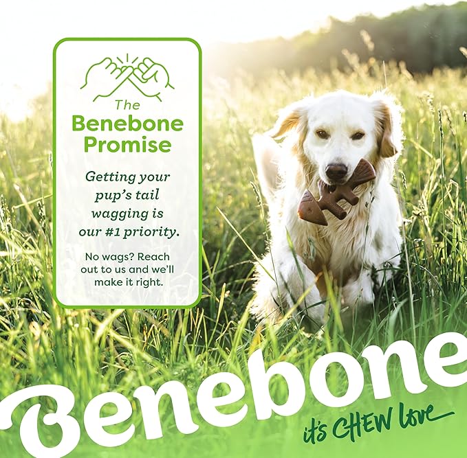 Benebone 2-pack Fishbone/Wishbone Durable Dog Chew Toys, Real Fish, Real Bacon, Made in USA, Medium