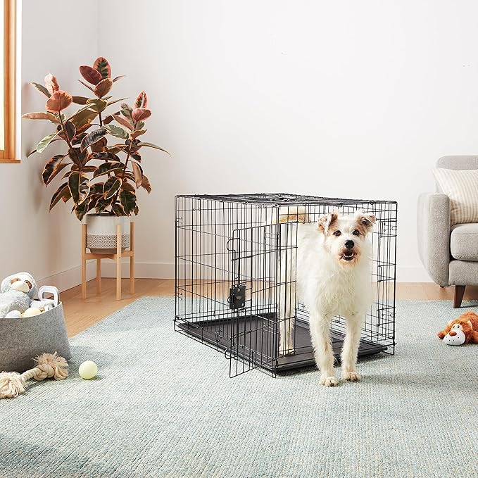 Amazon Basics Durable, Foldable Metal Wire Dog Crate with Tray, Double Door, 36 x 23 x 25 in, Black