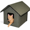 Cat House