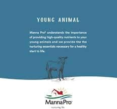 Manna Pro Cut Heal Hoof Heal, 16-Ounces